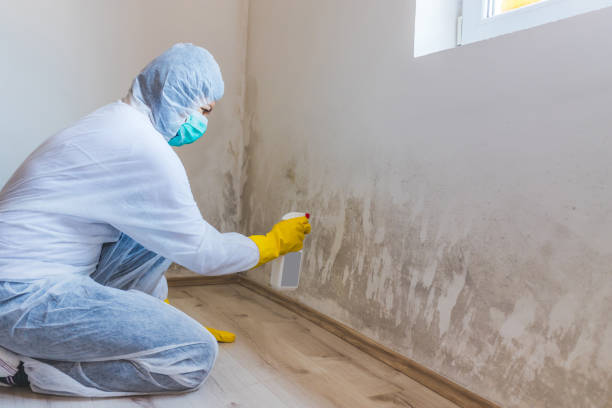 Mold Remediation specialist working in Deerfield